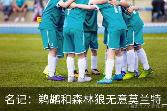 名记：鹈鹕&森林狼无意莫兰特 热火也不急于尝试其与字母哥的搭档