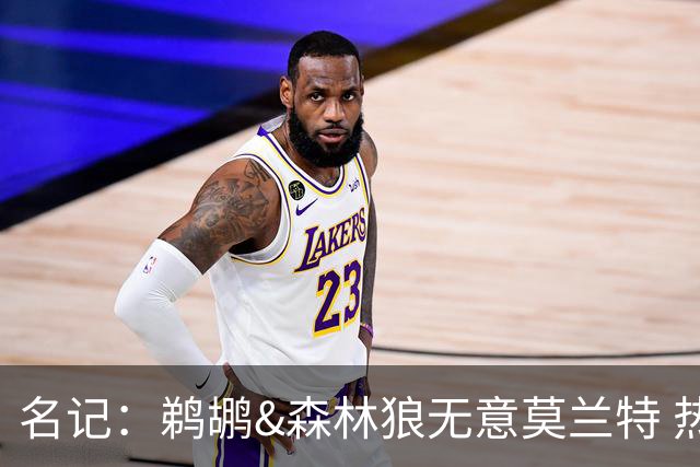 名记：鹈鹕&森林狼无意莫兰特 热火也不急于尝试其与字母哥的搭档